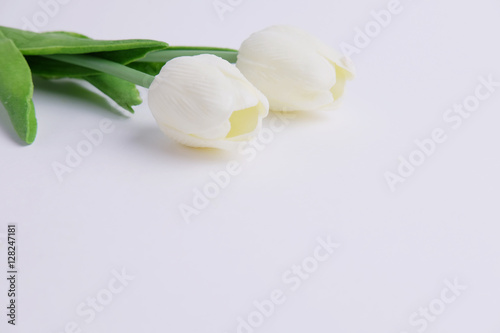 White tulip.