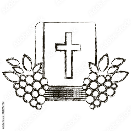 Bible and grapes icon. Religion god pray faith and believe theme. Isolated design. Vector illustration