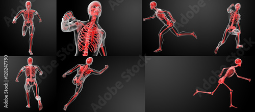 3d render running human anatomy by X-rays