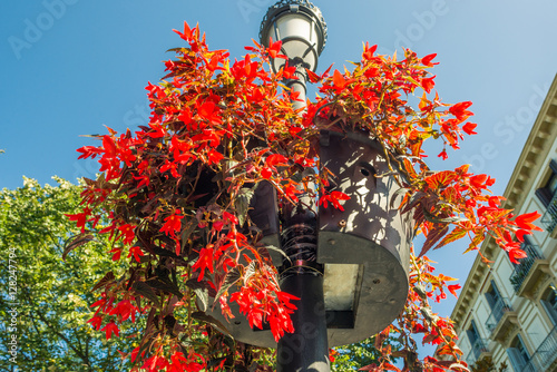 Fototapeta Naklejka Na Ścianę i Meble -  Flowerpots on lamppost in Donostia San Sebastian close to the Giputzkoa Plaza. The city is lovely decorated with flowers, flowerpots and greenery. san Sebastian is European Capital of Culture 2016
