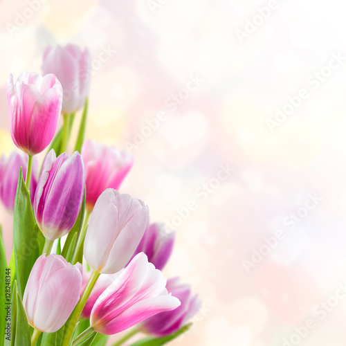 Fototapeta Naklejka Na Ścianę i Meble -  Valentines Day Background with Tulips