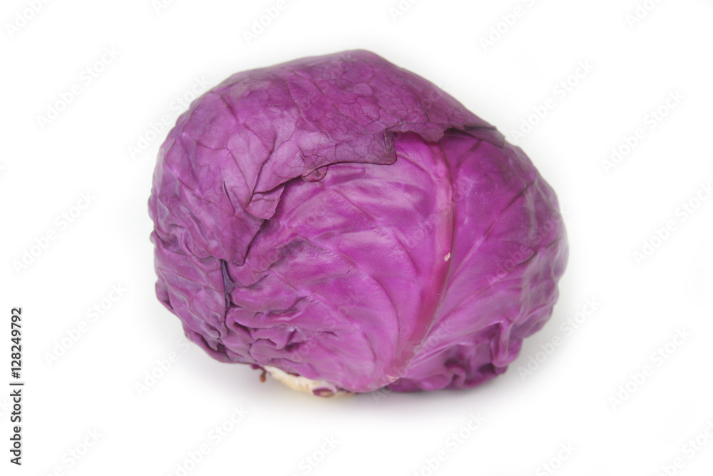 cavolo rosso crudo intero isolato su sfondo bianco cavolo rosso crudo intero isolato su sfondo bianco