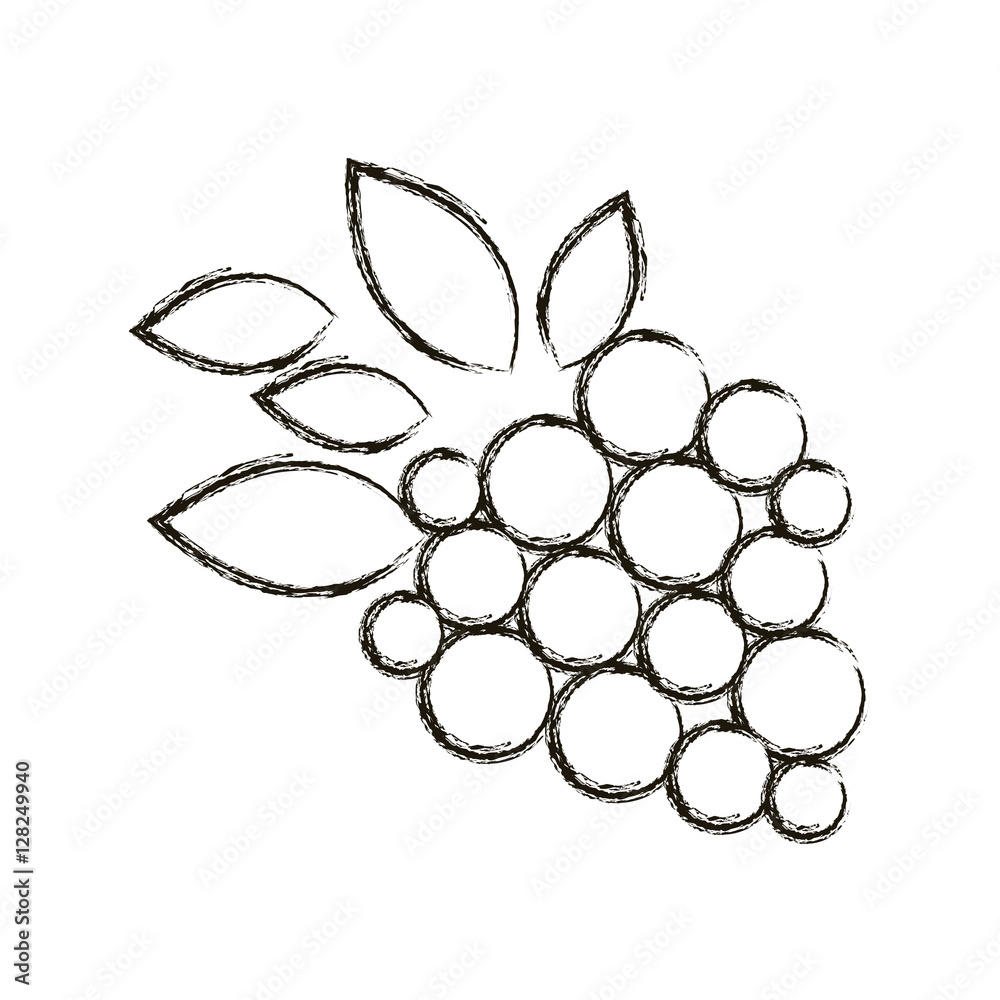 Grapes icon. Fruit healthy organic fresh food theme. Isolated design. Vector illustration Grapes icon. Fruit healthy organic fresh food theme. Isolated design. Vector illustration