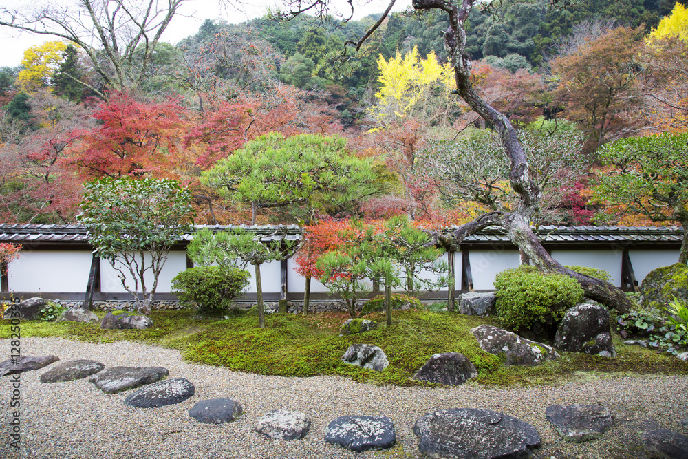 Obraz premium 秋色の庭園