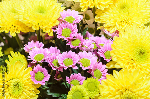 Mauve and yellow Chrysanthemums bouquet flowers  floral arrangement