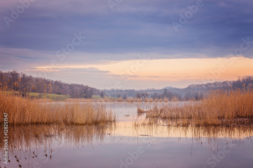 Misty morning at the lake