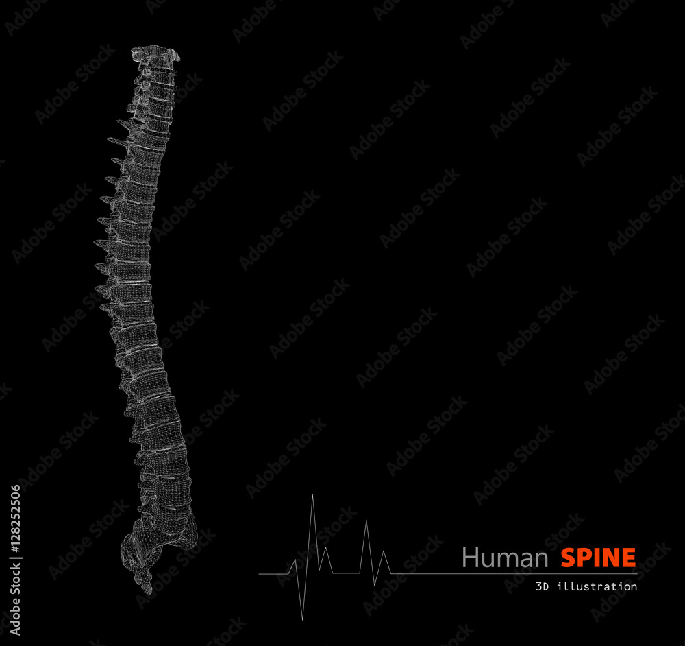 3d Illustration of Human spine abstract scientific background 3d Illustration of Human spine abstract scientific background