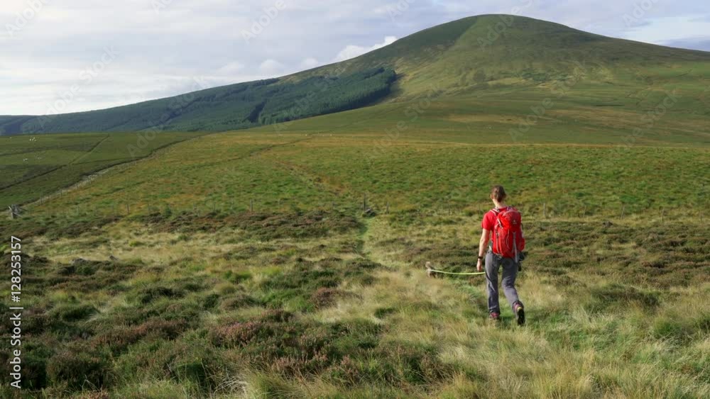 A female hiker walking in the Northumberland hills towards the summit of Hedgehop Hill near The Cheviot in the Northumberland National Park A female hiker walking in the Northumberland hills towards the summit of Hedgehop Hill near The Cheviot in the Northumberland National Park