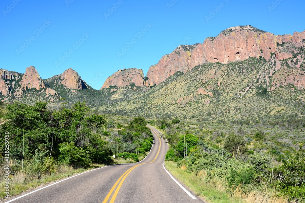 Road in Big Bend national park in Texas, USA.