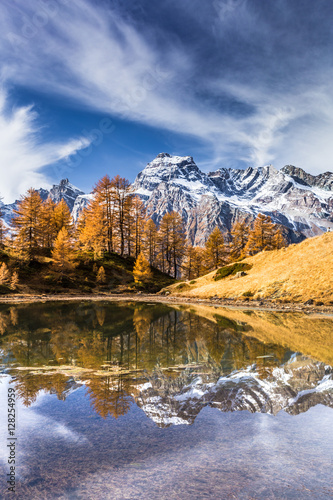 Autumn in the alps ( Alpe Devero Italy )