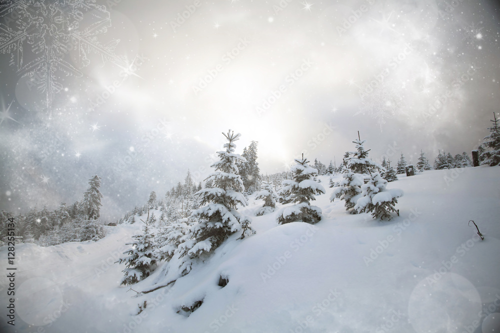 Fototapeta premium Fantastic winter landscape