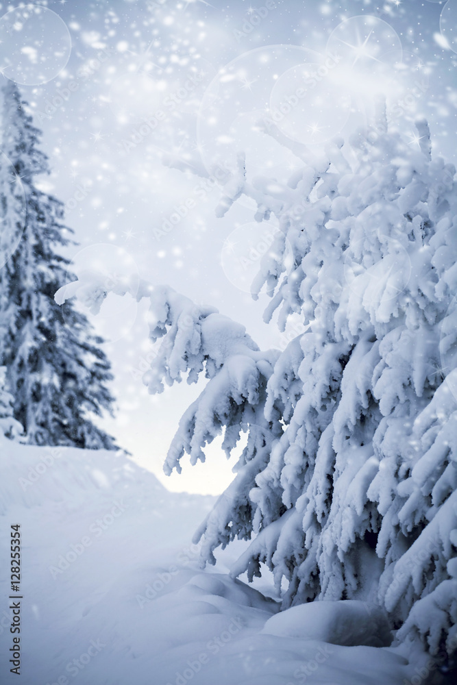 Fantastic winter landscape Fantastic winter landscape