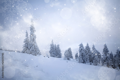 Fantastic winter landscape © erika8213