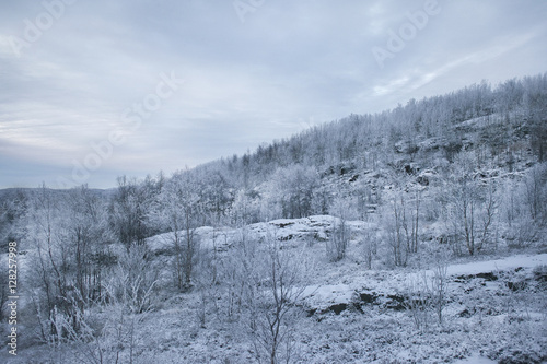 Snowy hill covered with forest © v_ridjin