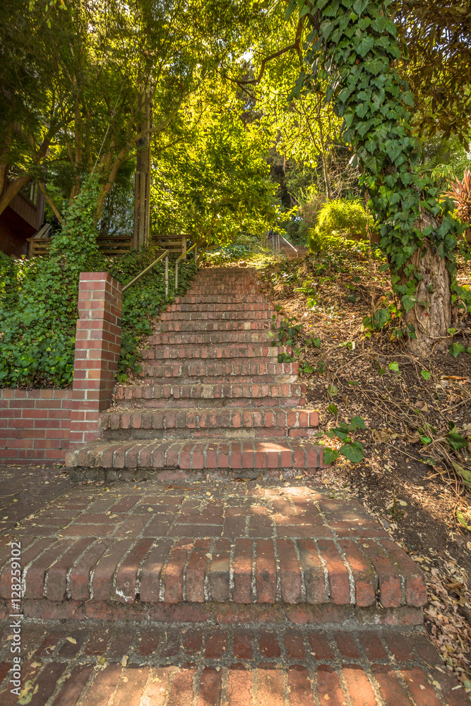 Stairway, Greenwich Street Stairs leading up to Telegrapf Hill and Coit Tower, a popular attraction in San Francisco, California, United States. Stairway, Greenwich Street Stairs leading up to Telegrapf Hill and Coit Tower, a popular attraction in San Francisco, California, United States.