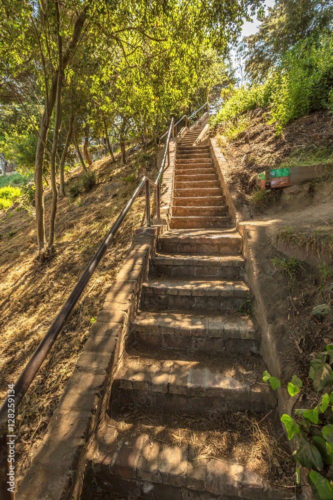 The Greenwich Steps from Battery Street looking up at Coit Tower on the top of Telegraph Hill. San Francisco, California, United States. The Greenwich Steps from Battery Street looking up at Coit Tower on the top of Telegraph Hill. San Francisco, California, United States.