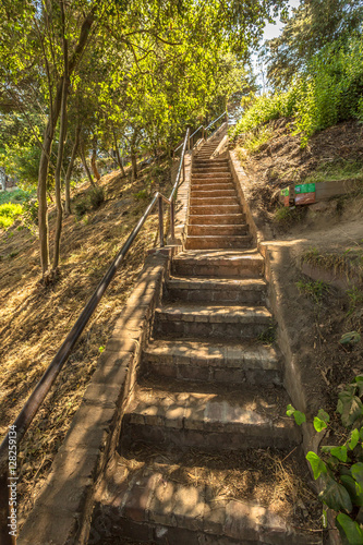 The Greenwich Steps from Battery Street looking up at Coit Tower on the top of Telegraph Hill. San Francisco  California  United States.