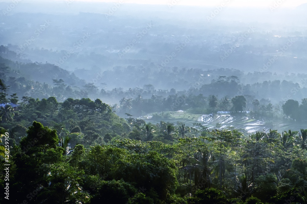 Fototapeta premium Views of the forest and farms from a high place, with the morning sun shining beautifully