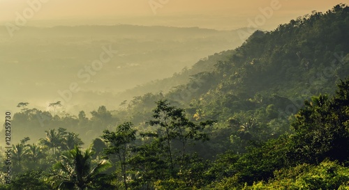 Yellow sunrise in forest and trees from highplace