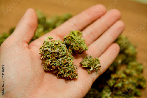 marijuana in the palm of a smoker