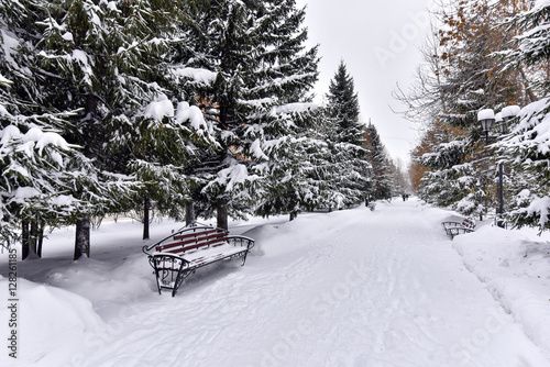 Bench in the park alley covered with snow