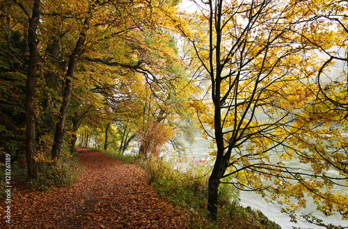 Stunning forest path at Danube river, Regensburg, Germany