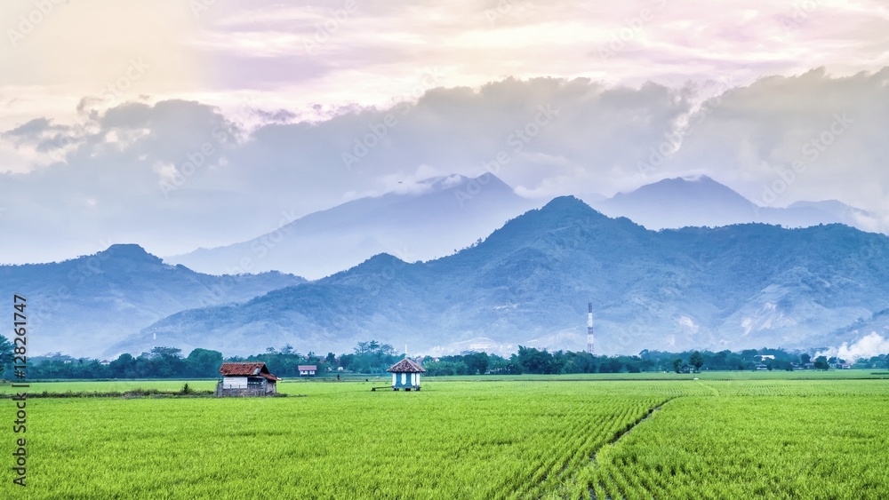 Very vast, broad, extensive rice field, streched into the horizon. And also two huts in the middle of rice field.  Behind it is a line of hills and mountains, and beautiful cloud yellow sky