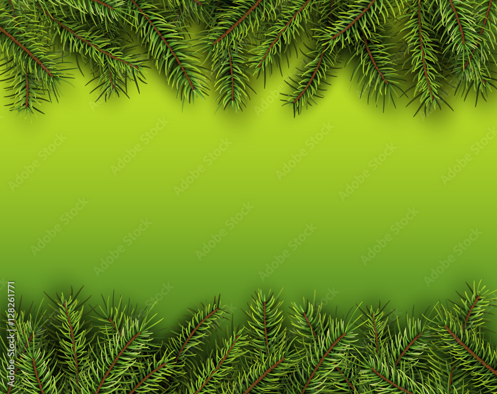 Christmas background with green fir tree