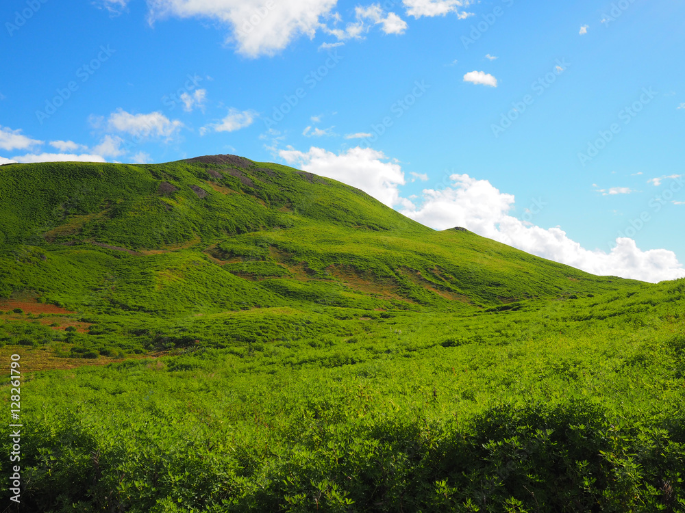 Green hill and blue sky