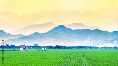 Very vast, broad, extensive, rice field, streched into the horizon. And also two huts in the middle of rice field. Behind it is a line of hills and mountains, and beautiful cloud yellow sky. 