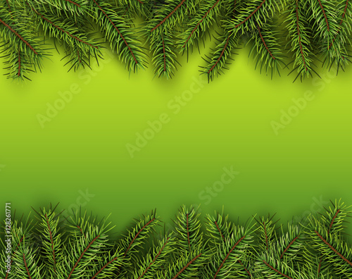 Christmas background with green fir tree