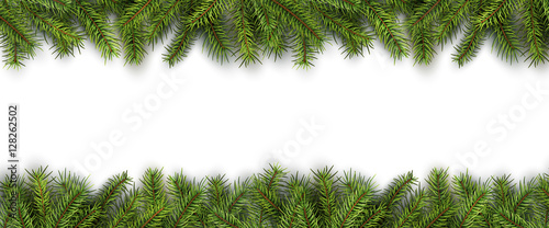 Fotografia, Obraz Christmas background green pine tree branches on white