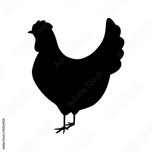 Canvas Print silhouette monochrome color with chicken vector illustration