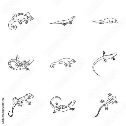 Iguana icons set. Outline illustration of 9 iguana vector icons for web