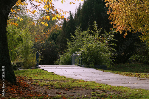 Autumn small bridge in park