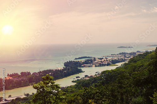 Tropical Seychelles. Palm trees on the island of La Digue