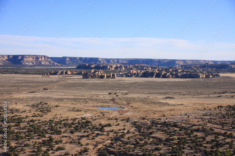 Acoma landscae Acoma landscae