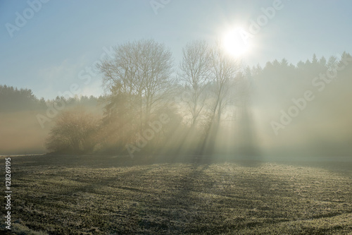 Morning sun shining through the fog