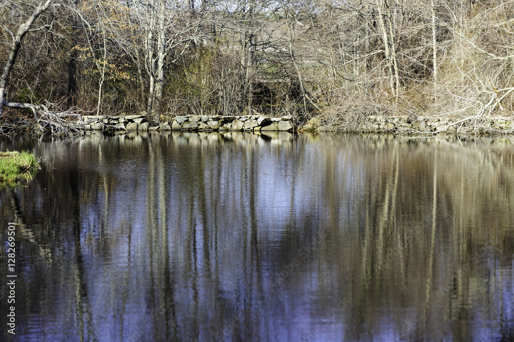 Stone wall along stream