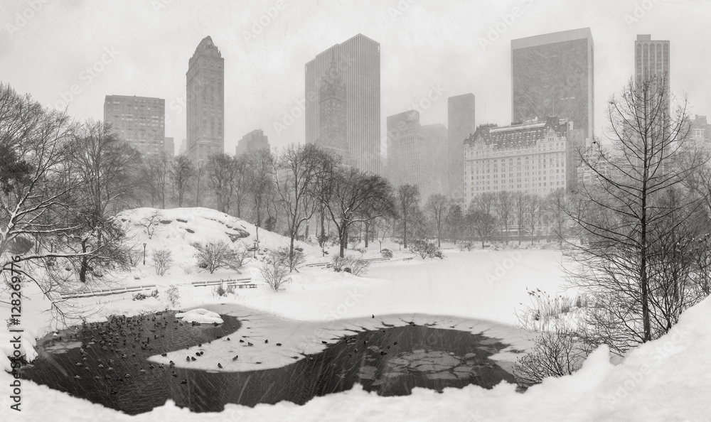 Frozen pond and heavy snowfall in Central Park with a panoramic view of Manhattan skyscrapers. Winter scene in New York City (Black & White)