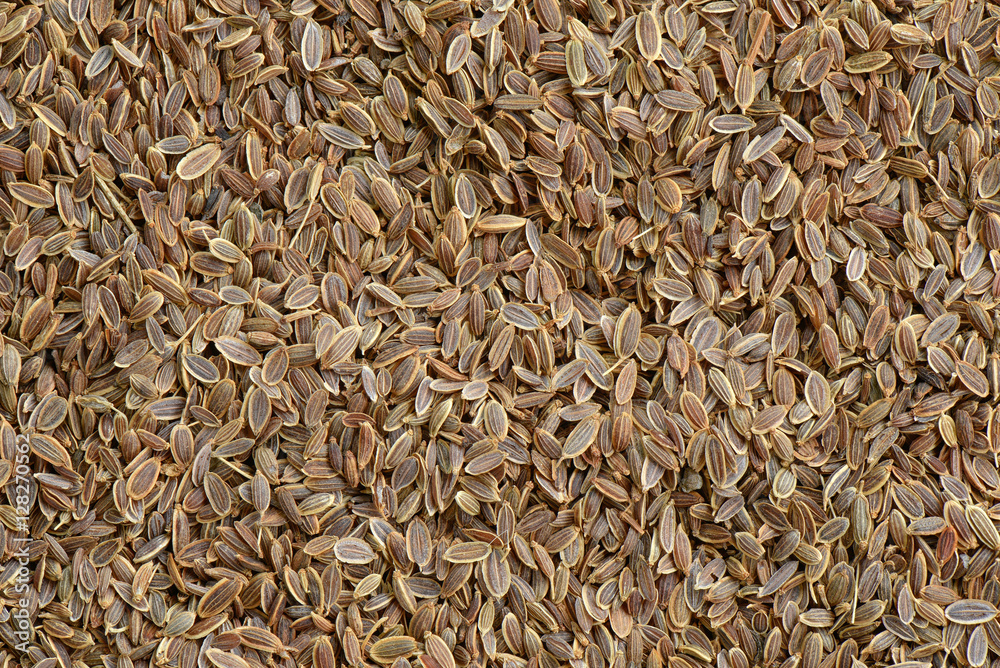 Dill seed background