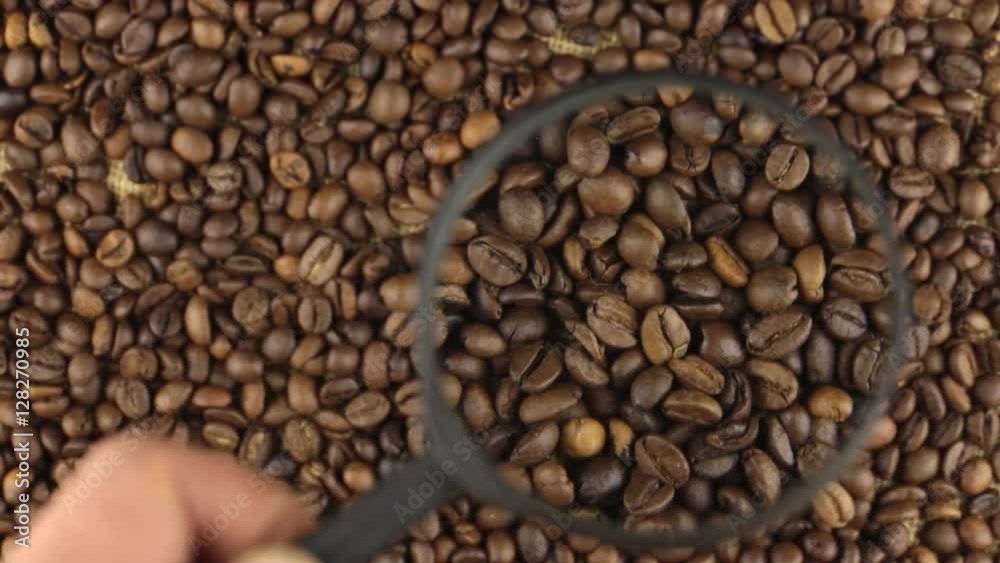 Examination using a magnifying glass rotating coffee beans. Examination using a magnifying glass rotating coffee beans.