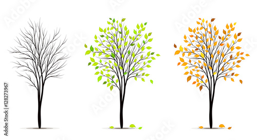 Seasons of tree vector