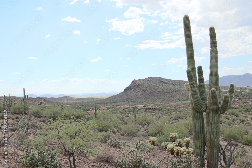 Desert Landscape - New River, AZ Desert Landscape - New River, AZ