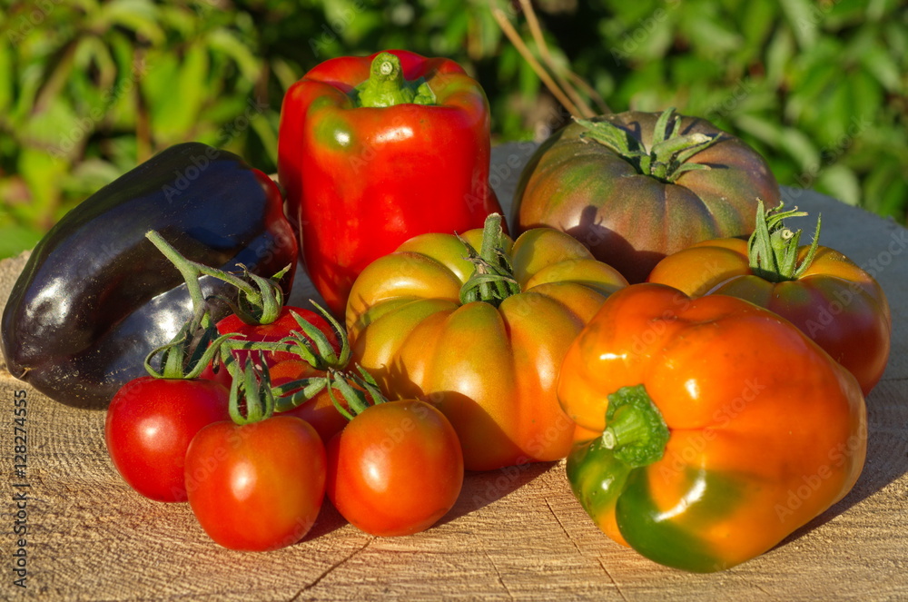 The harvest of vegetables outdoors