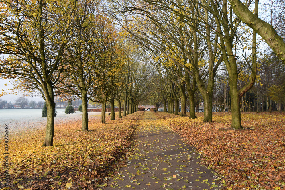 Fototapeta premium Autumn walk