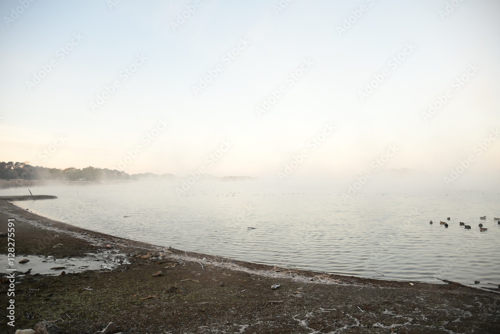 Obraz premium Morning Haze on the Swamp in Japan.