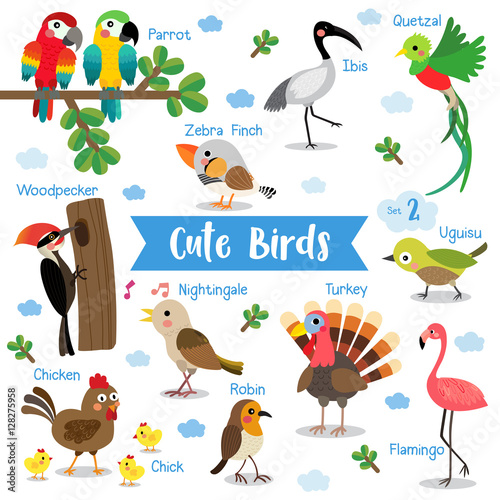 Cute Birds Animal cartoon on white background with animal name. Chicken. Chick. Flamingo. Parrot. Turkey. Nightingale. Woodpecker. Zebra Finch. Uguisu. Quetzal. Ibis. Robin. Vector illustration.Set 2.