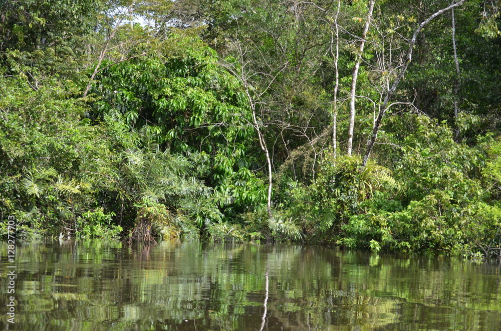 Rio Amazonas Rio Amazonas