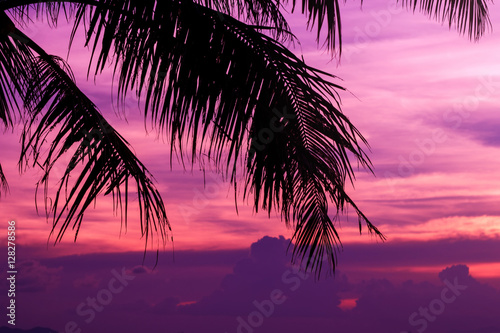 Silhouette of palm trees at sunset © romablack